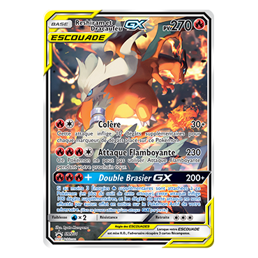 Carte Reshiram et Dracaufeu - de Pokémon SM201
