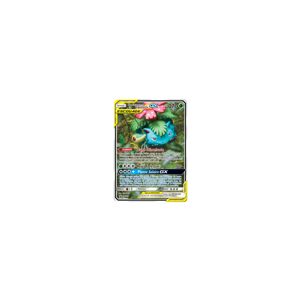 Carte Florizarre et Vipélierre - de Pokémon SM229