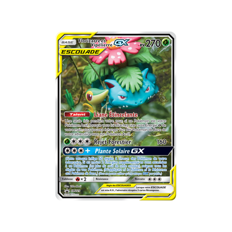 Carte Florizarre et Vipélierre - de Pokémon SM229