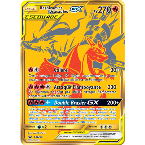 Carte Reshiram et Dracaufeu - de Pokémon SM247