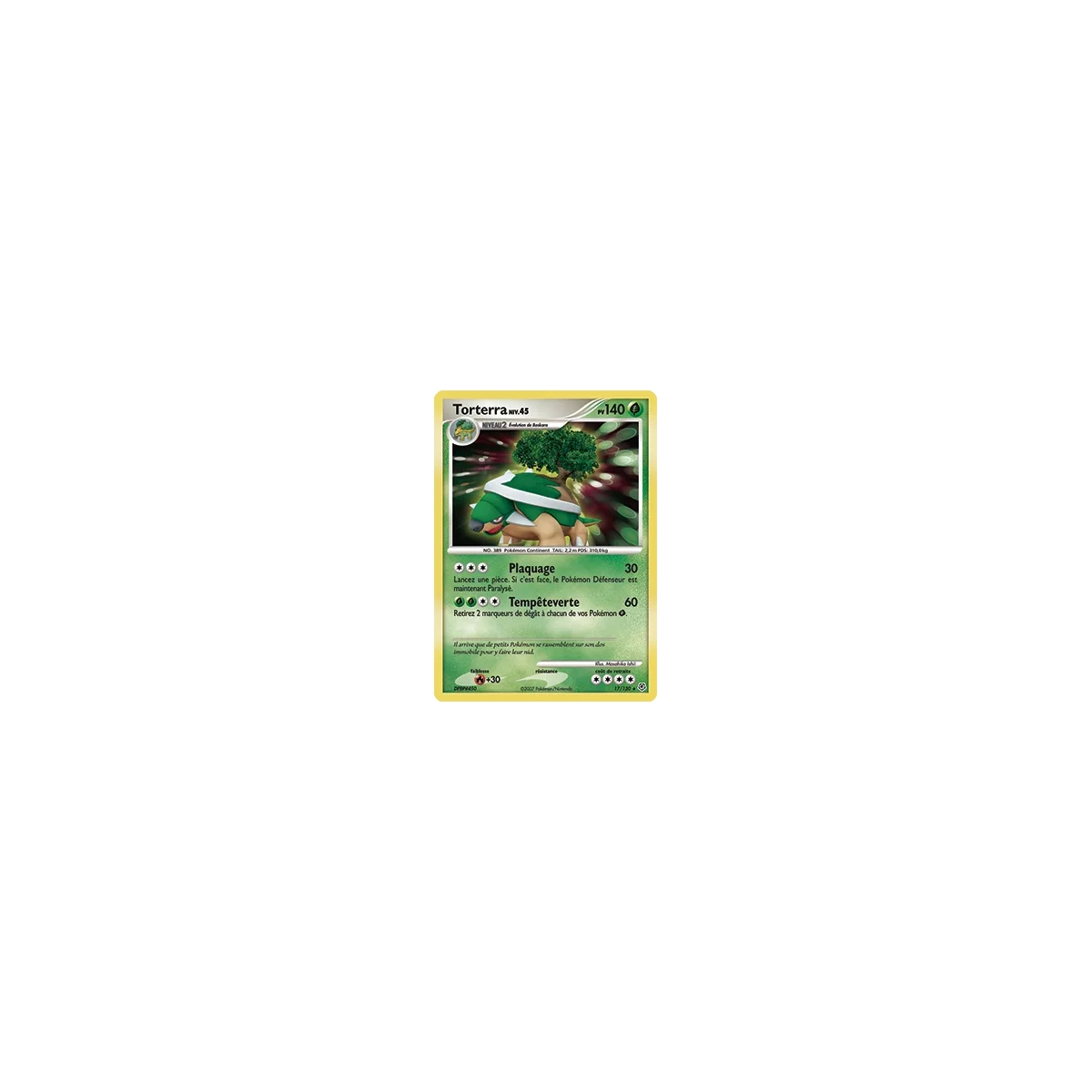 Carte Torterra - Holographique rare de Pokémon Diamant & Perle 17/130