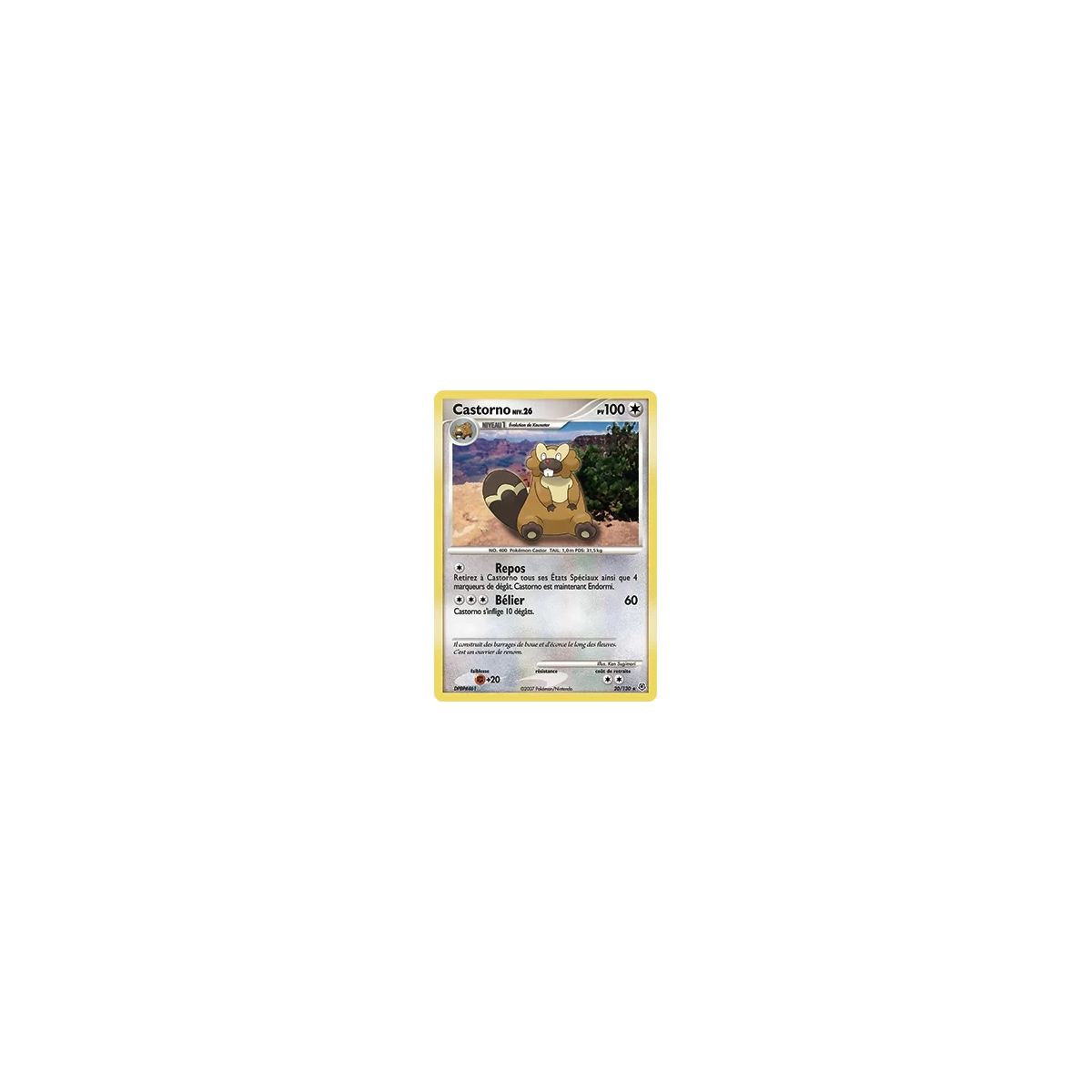 Castorno 20/130 : Joyau Rare (Brillante) de l'extension Pokémon Diamant & Perle