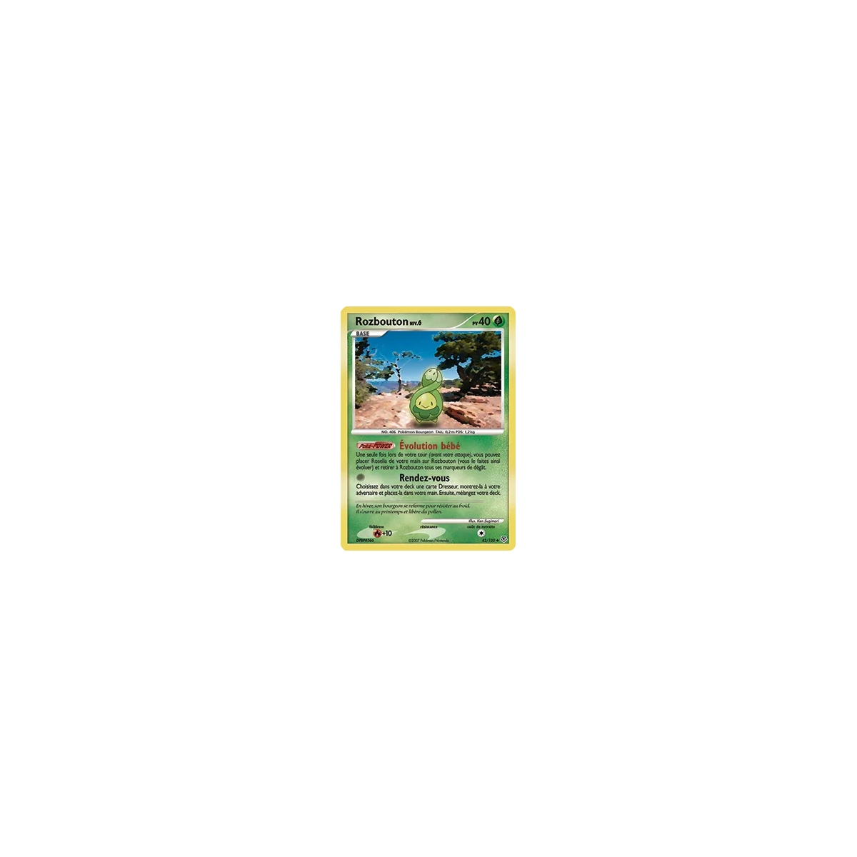 Carte Rozbouton - Peu commune (Brillante) de Pokémon Diamant & Perle 43/130