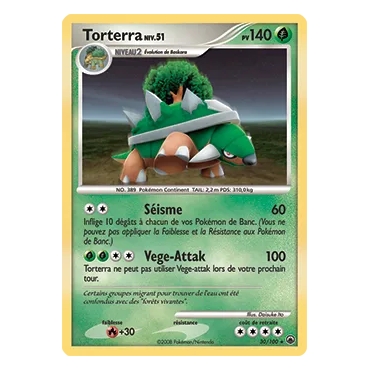 Découvrez Torterra, carte Rare (Brillante) de la série Diamant & Perle Aube Majestueuse