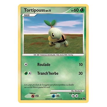 Découvrez Tortipouss, carte Commune (Brillante) de la série Diamant & Perle Aube Majestueuse