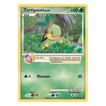 Découvrez Tortipouss, carte Commune (Brillante) de la série Diamant & Perle Aube Majestueuse