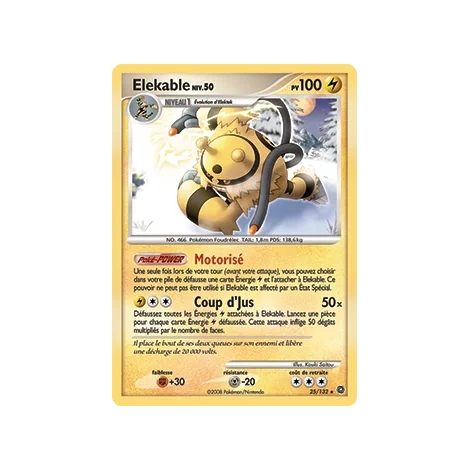 Elekable 25/132 : Joyau Rare (Brillante) de l'extension Pokémon Diamant & Perle Merveilles Secrètes