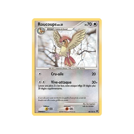 Roucoups 58/132 : Joyau Peu commune (Brillante) de l'extension Pokémon Diamant & Perle Merveilles Secrètes