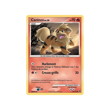 Carte Caninos - Commune (Brillante) de Pokémon Diamant & Perle Merveilles Secrètes 89/132