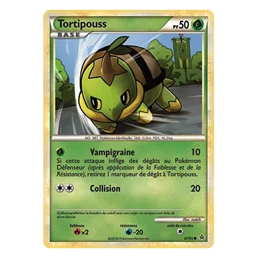 Découvrez Tortipouss, carte Commune (Brillante) de la série HS Déchaînement