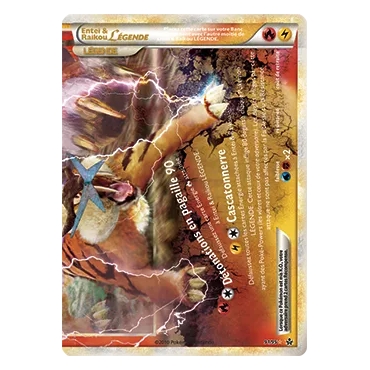 Carte Entei & Raikou - LÉGENDE de Pokémon HS Déchaînement 91/95