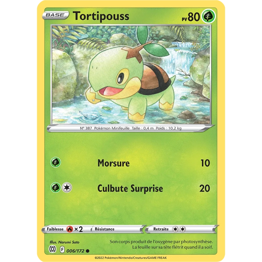 Tortipouss 006/172 : Joyau Commune (Brillante) de l'extension Pokémon Stars Étincelantes