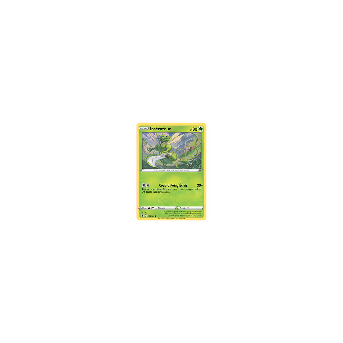 Carte Insécateur - Commune de Pokémon Astres Radieux 005/189