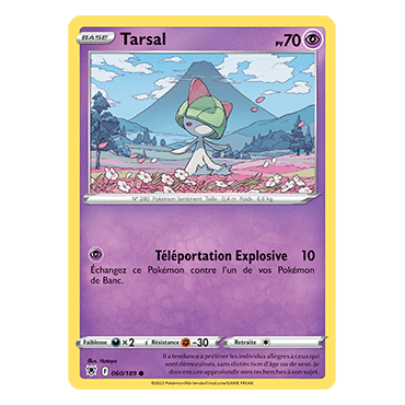 Carte Tarsal - Commune de Pokémon Astres Radieux 060/189