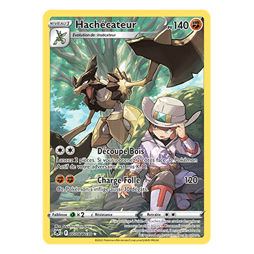 Découvrez Hachécateur, carte Holographique rare de la série Astres Radieux