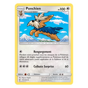 Découvrez Ponchien, carte Peu commune de la série Éclipse Cosmique