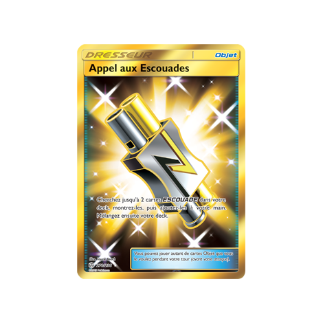 Appel aux Escouades 270/236 : Joyau Holographique rare de l'extension Pokémon Éclipse Cosmique