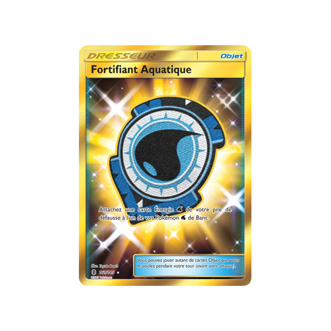 Carte Fortifiant Aquatique - Holographique rare de Pokémon Gardiens Ascendants 161/145