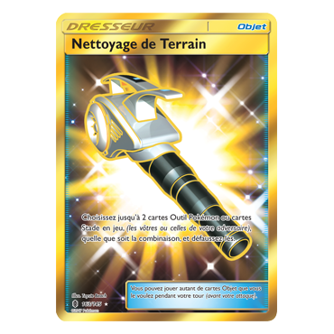Nettoyage de Terrain 163/145 : Joyau Holographique rare de l'extension Pokémon Gardiens Ascendants