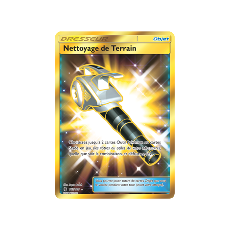 Nettoyage de Terrain 163/145 : Joyau Holographique rare de l'extension Pokémon Gardiens Ascendants