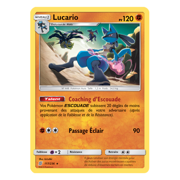 Découvrez Lucario, carte Rare de la série Harmonie des Esprits