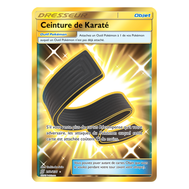 Carte Ceinture de Karaté - Holographique rare de Pokémon Harmonie des Esprits 252/236