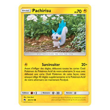 Pachirisu 80/214 : Joyau Commune de l'extension Pokémon Tonnerre Perdu