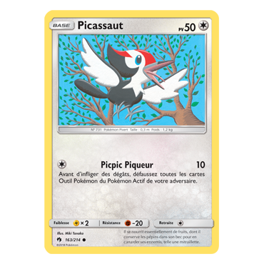 Carte Picassaut - Commune de Pokémon Tonnerre Perdu 163/214