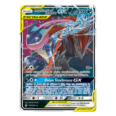 Carte Amphinobi et Zoroark - Holographique rare GX de Pokémon Alliance Infaillible 107/214