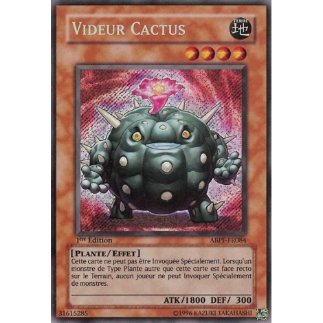 Videur Cactus ABPF-FR084