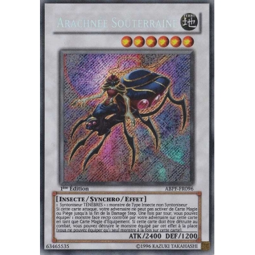 Arachnée Souterraine ABPF-FR096