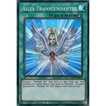 Ailes Transcendantes AC19-FR022