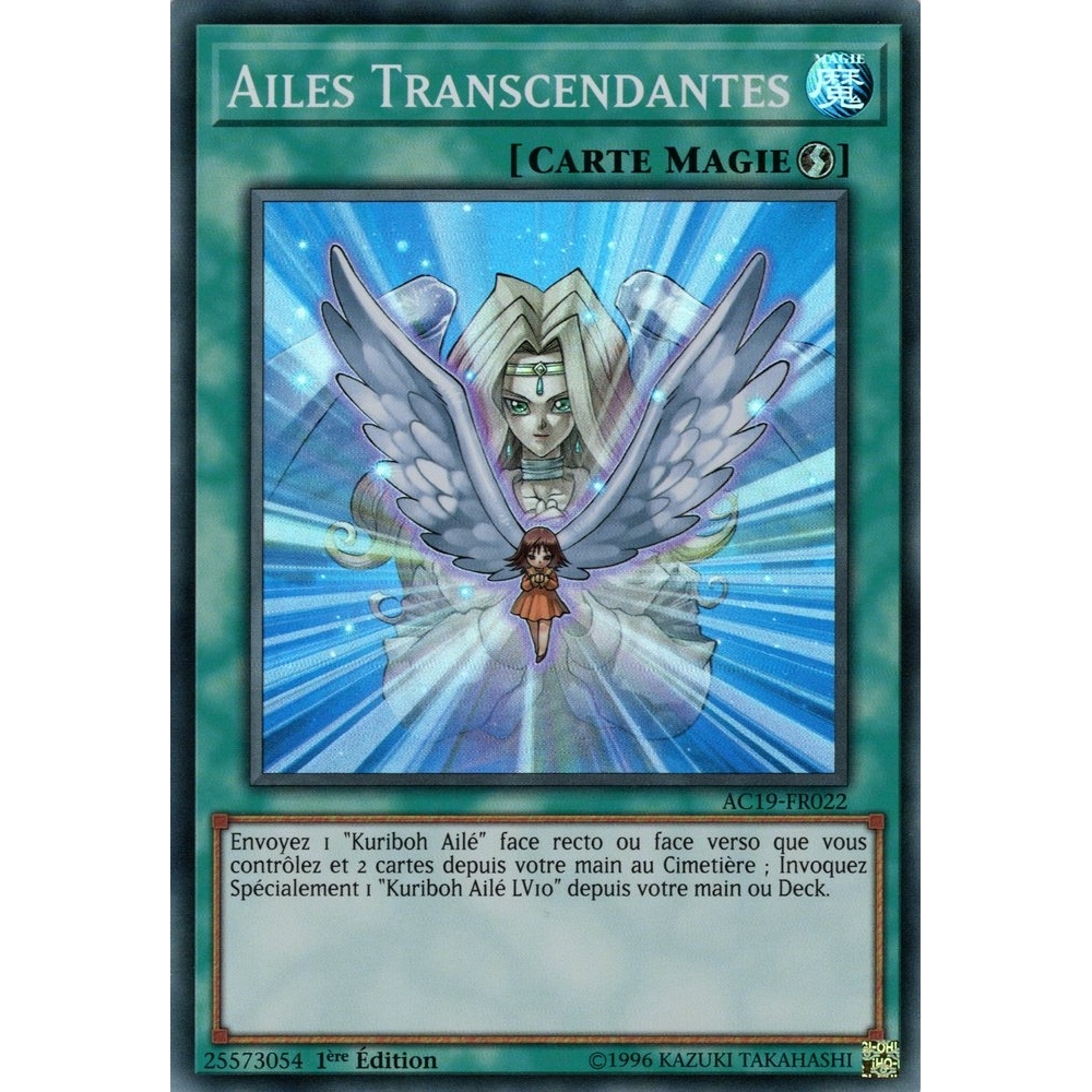 Ailes Transcendantes AC19-FR022