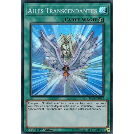 Ailes Transcendantes AC19-FR022