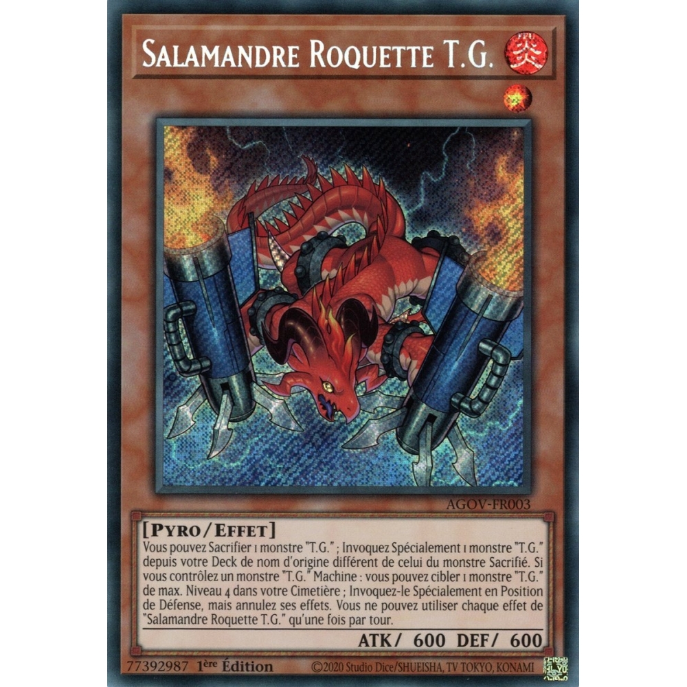 Salamandre Roquette T.G. AGOV-FR003