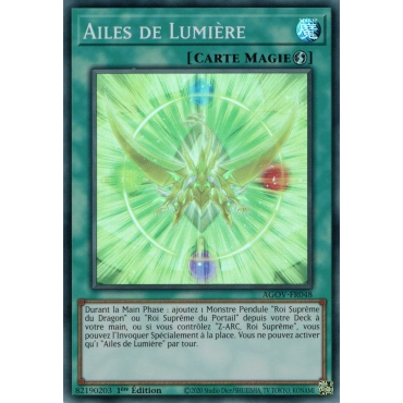 Ailes de Lumière AGOV-FR048