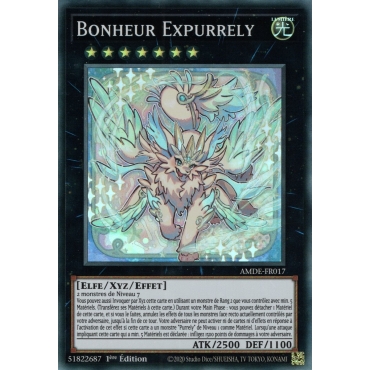 Bonheur Expurrely AMDE-FR017
