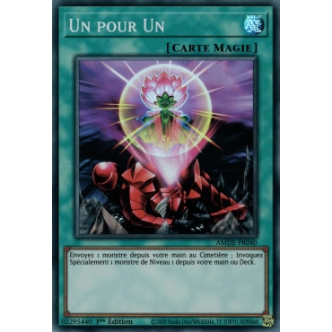 Un pour Un AMDE-FR040